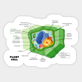 Diagram of a Plant (eukaryotic) Cell Sticker